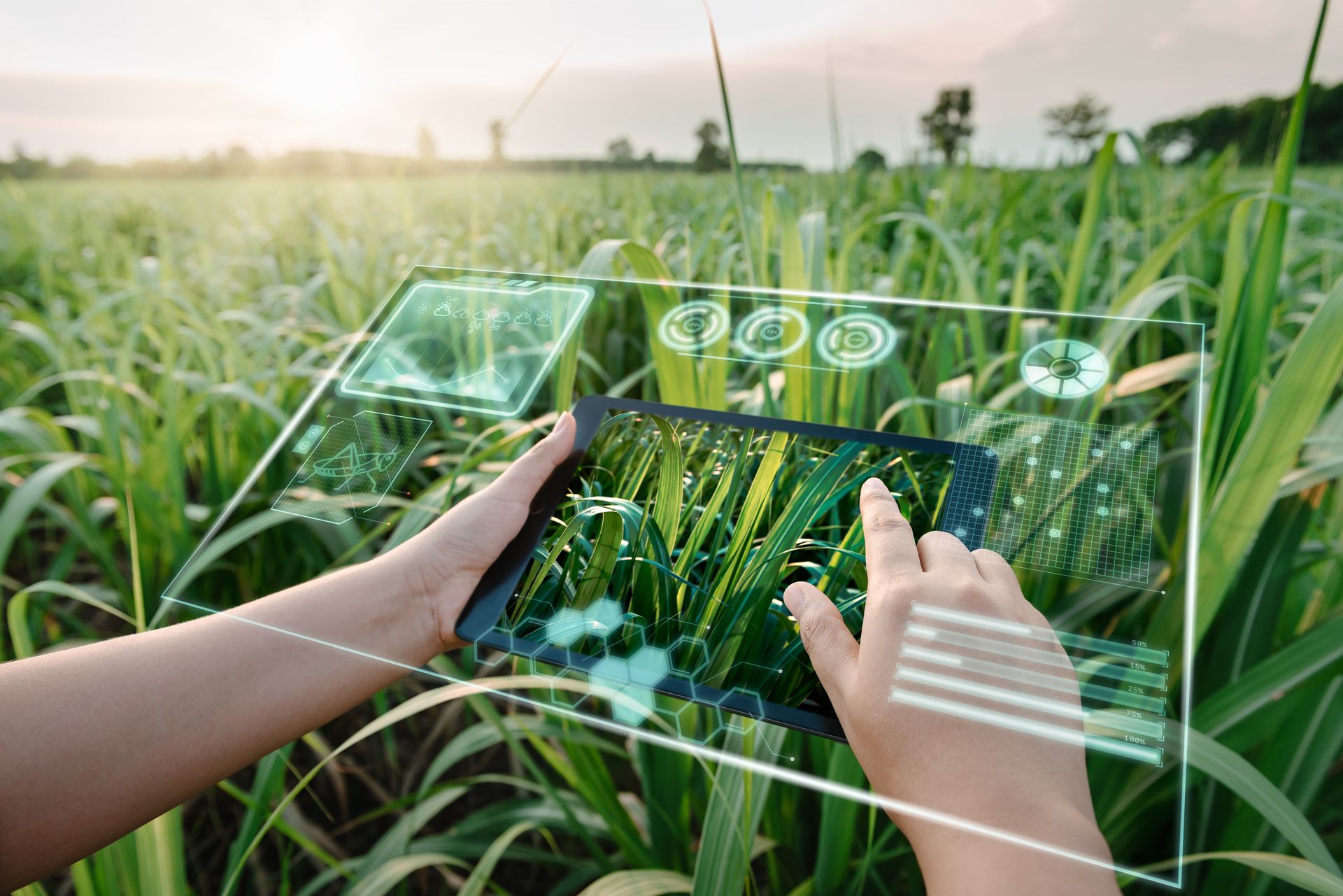 Osoba používá tablet venku na poli ke sledování udržitelných zemědělských technologií.